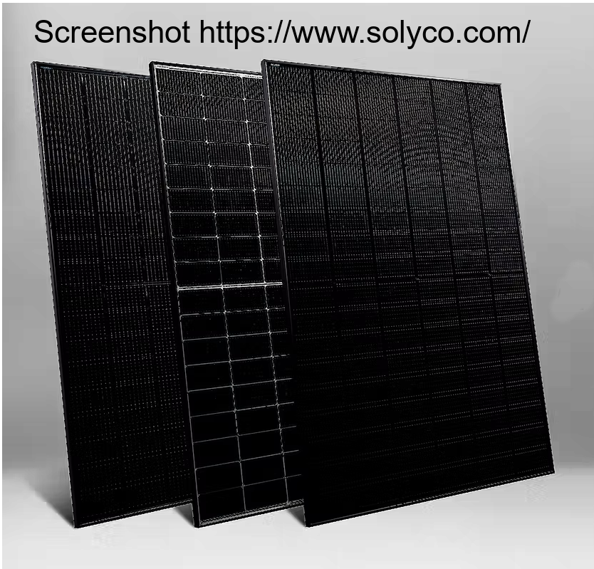 Schwarze Photovoltaikmodule von SOLYCO mit moderner Glas-Glas-Technologie